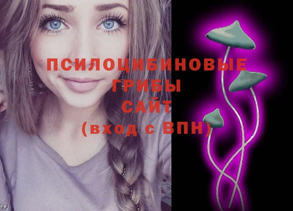 герыч Медногорск