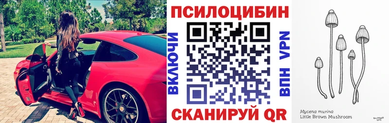 Галлюциногенные грибы ЛСД  купить   Шилка 